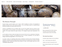 Tablet Screenshot of bionic-enterprises.com